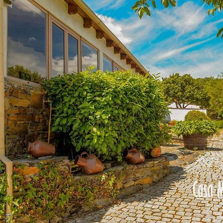 Casa Machado Guest House Braganca Exterior photo
